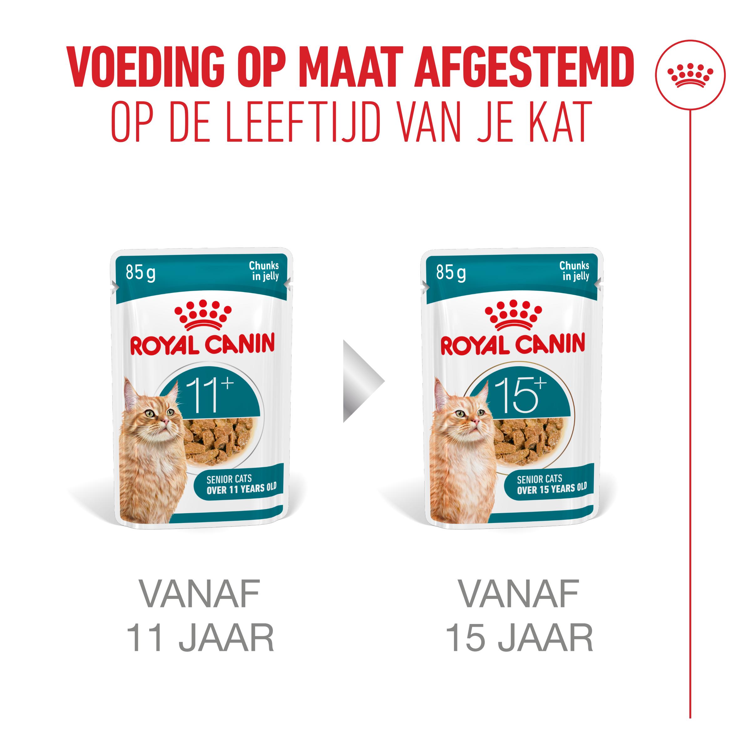 Royal Canin Ageing 11+ in Jelly - Kattenvoer
