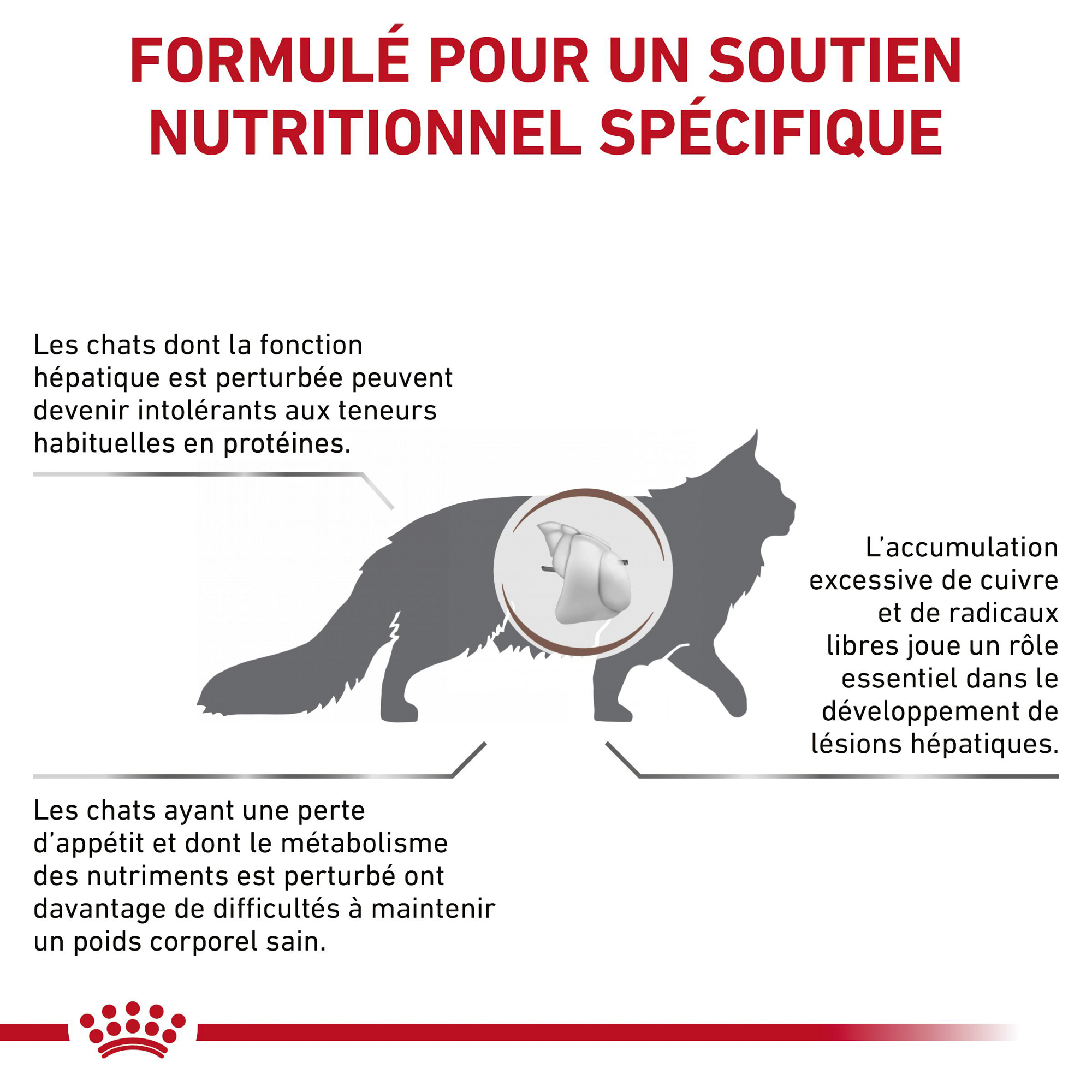 Royal Canin Hepatic Chat