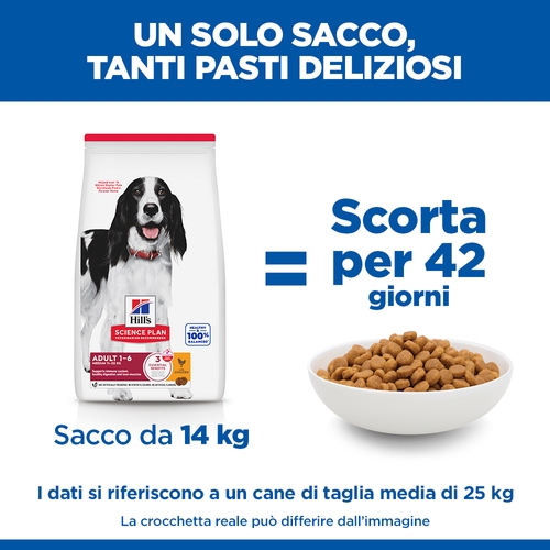 Hill's Science Plan - Medium - Adult - Pollo