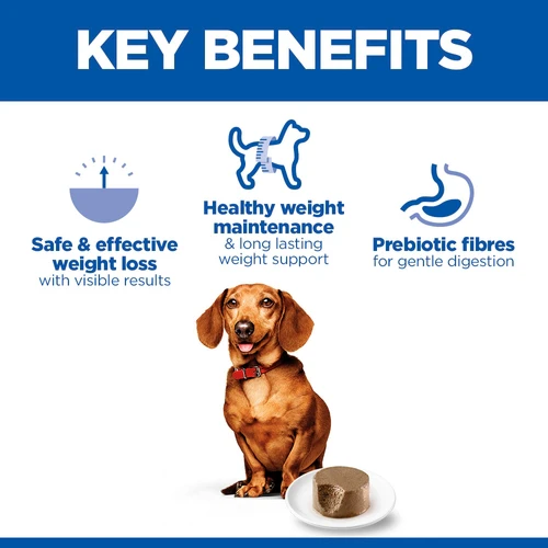 Hill's Science Plan Small & Mini - Perfect Weight Adult - Turkey - Tin