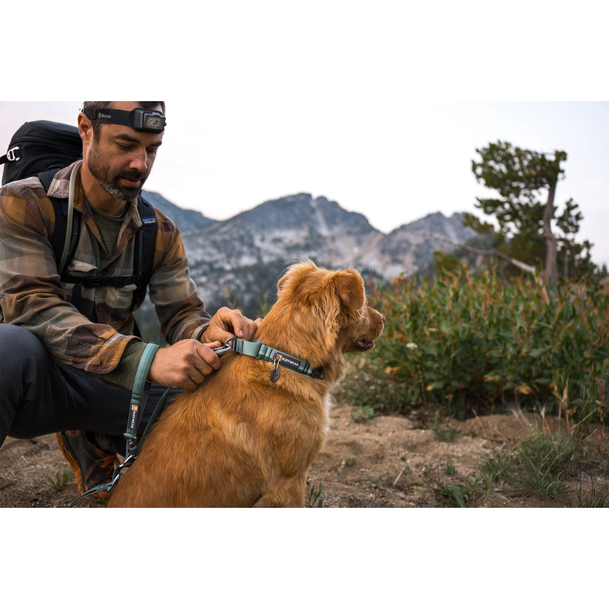 Ruffwear Web Reaction Collare