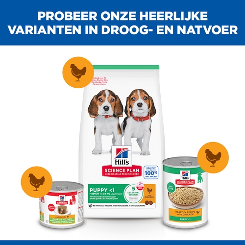 Hill's Science Plan - Puppy - Medium - Kip