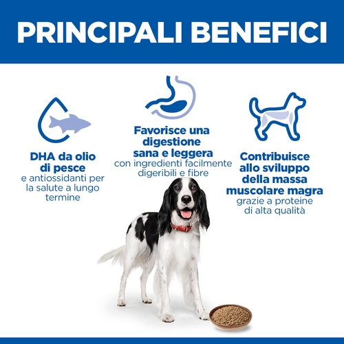 Hill's Science Plan - Medium - Adult - Pollo - Lattina