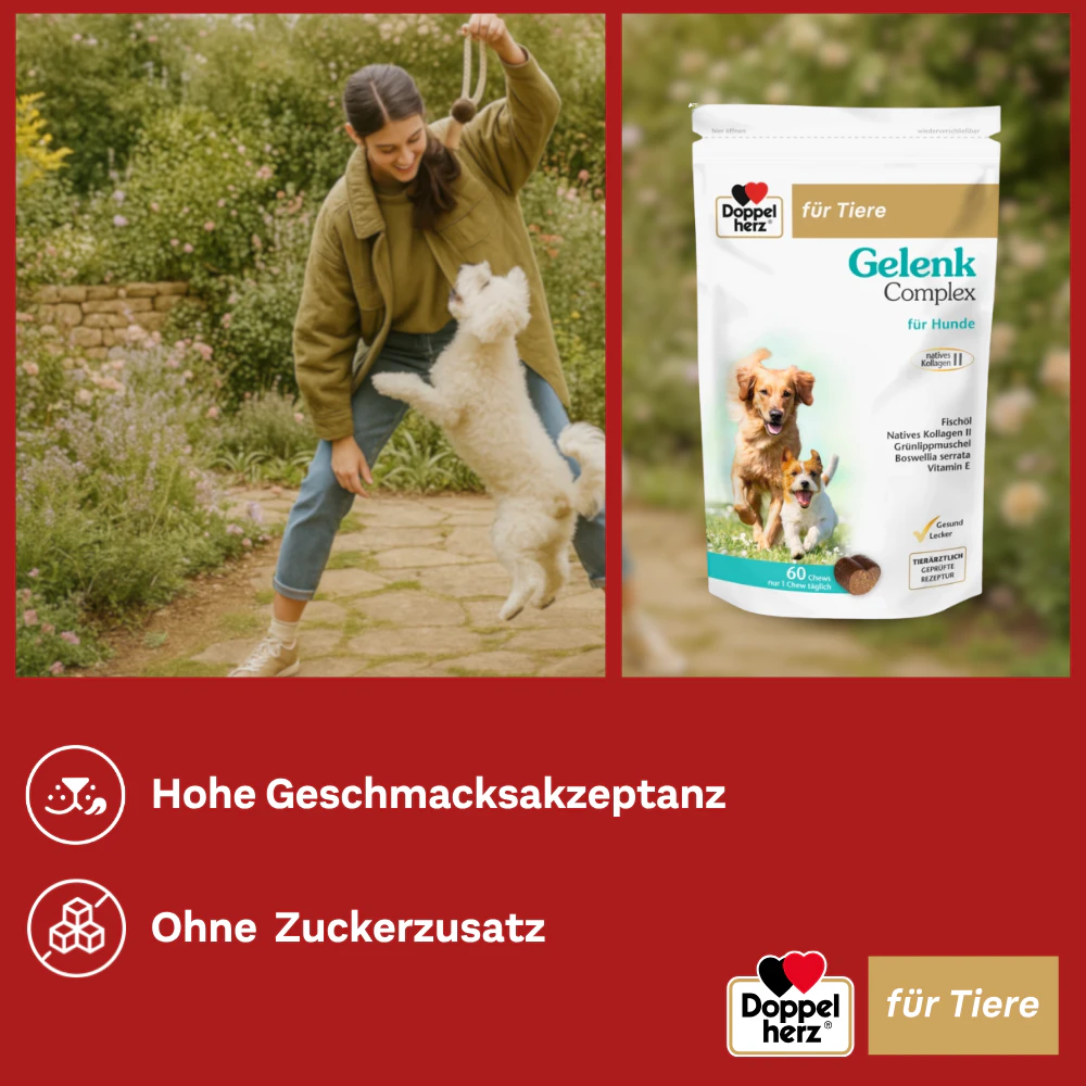 Doppelherz Gelenk Complex für Hunde