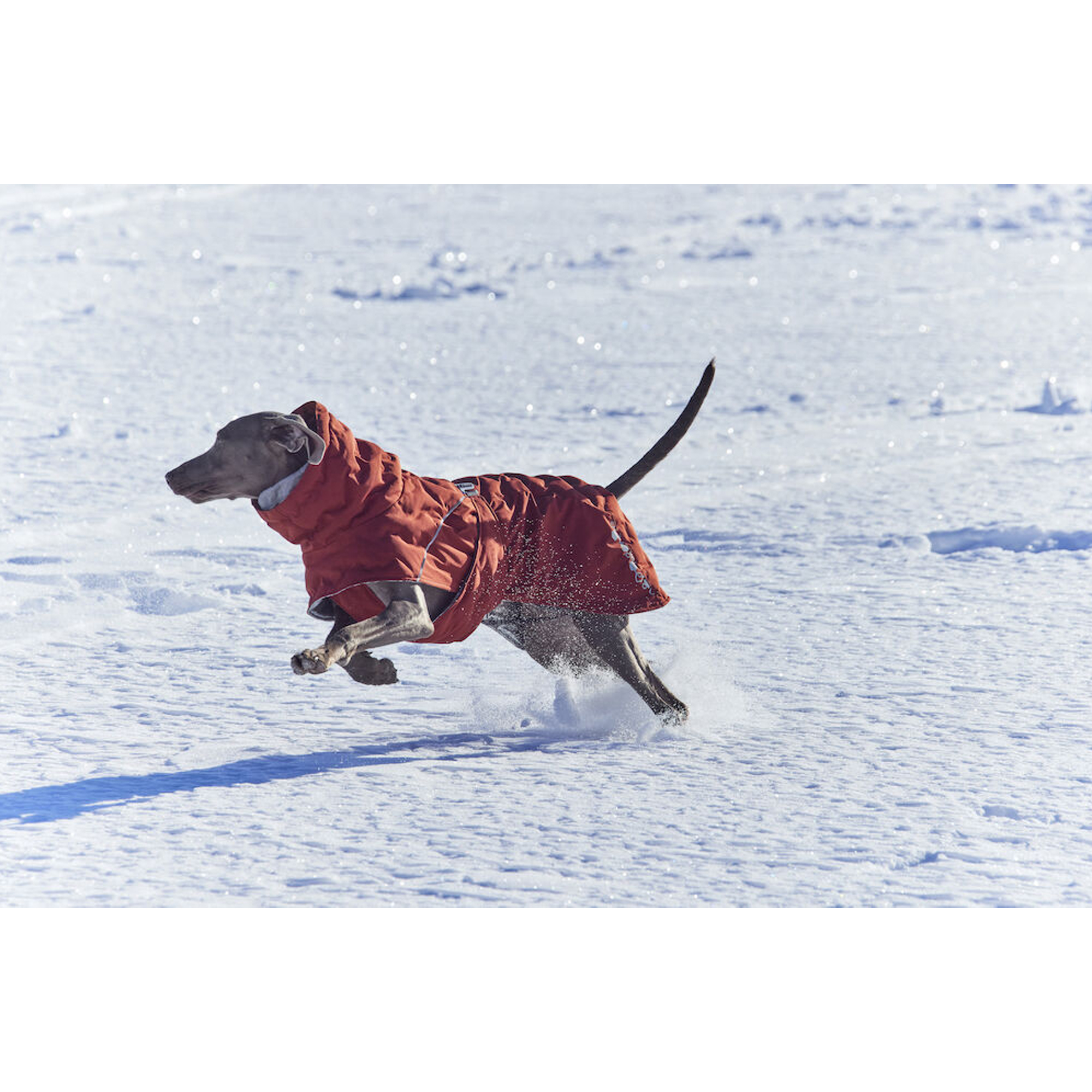 Hurtta Extreme Warmer - Manteau pour Chien