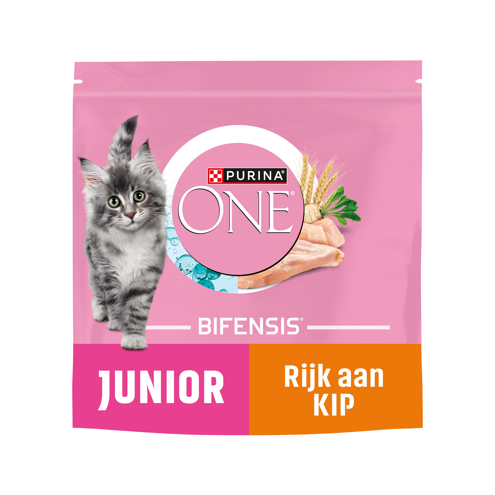 Purina ONE Junior