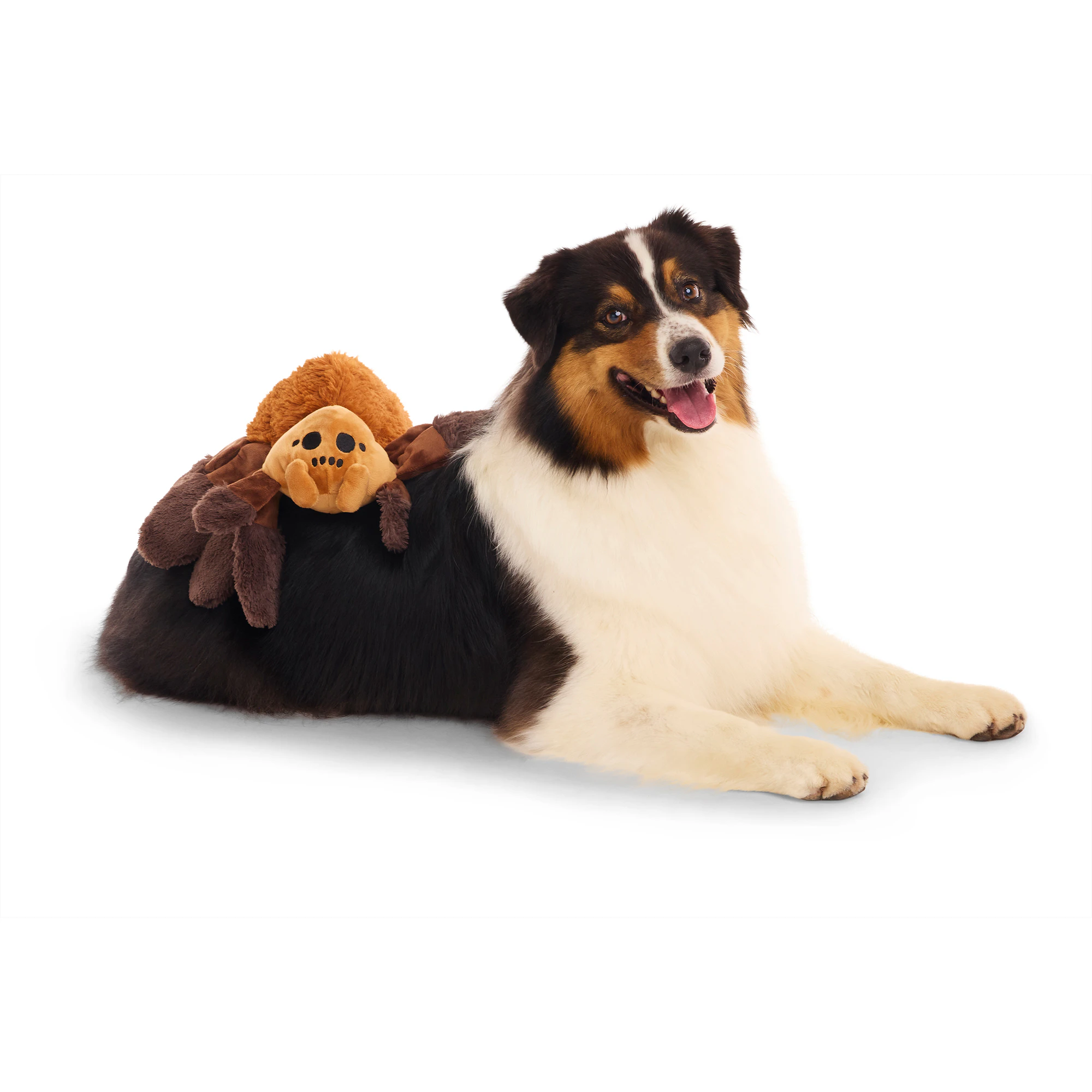 Bark Harry Potter Aragog Kuscheltier