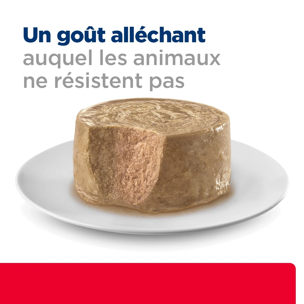 Hill's c/d Multicare Stress - Prescription Diet - Félin - Mousse