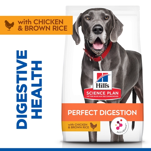 Brown Rice Hill's Ideal Balance Large Breed Hill's Science