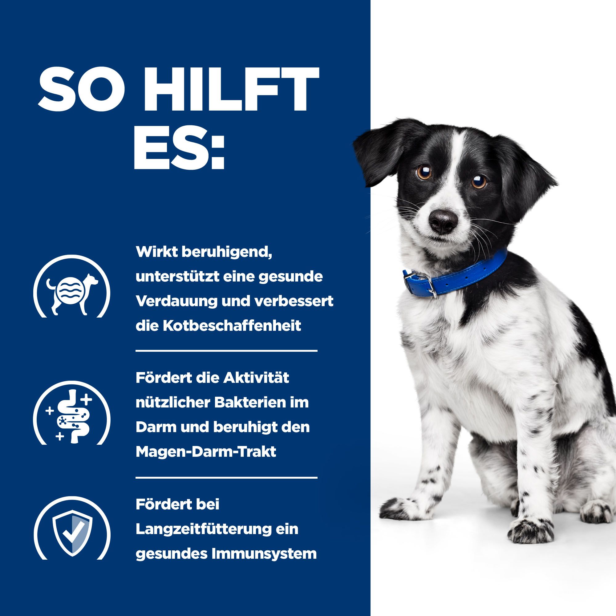 Hill's Prescription Diet i/d Digestive Care Stress Mini Ragout Hundefutter - Dosen