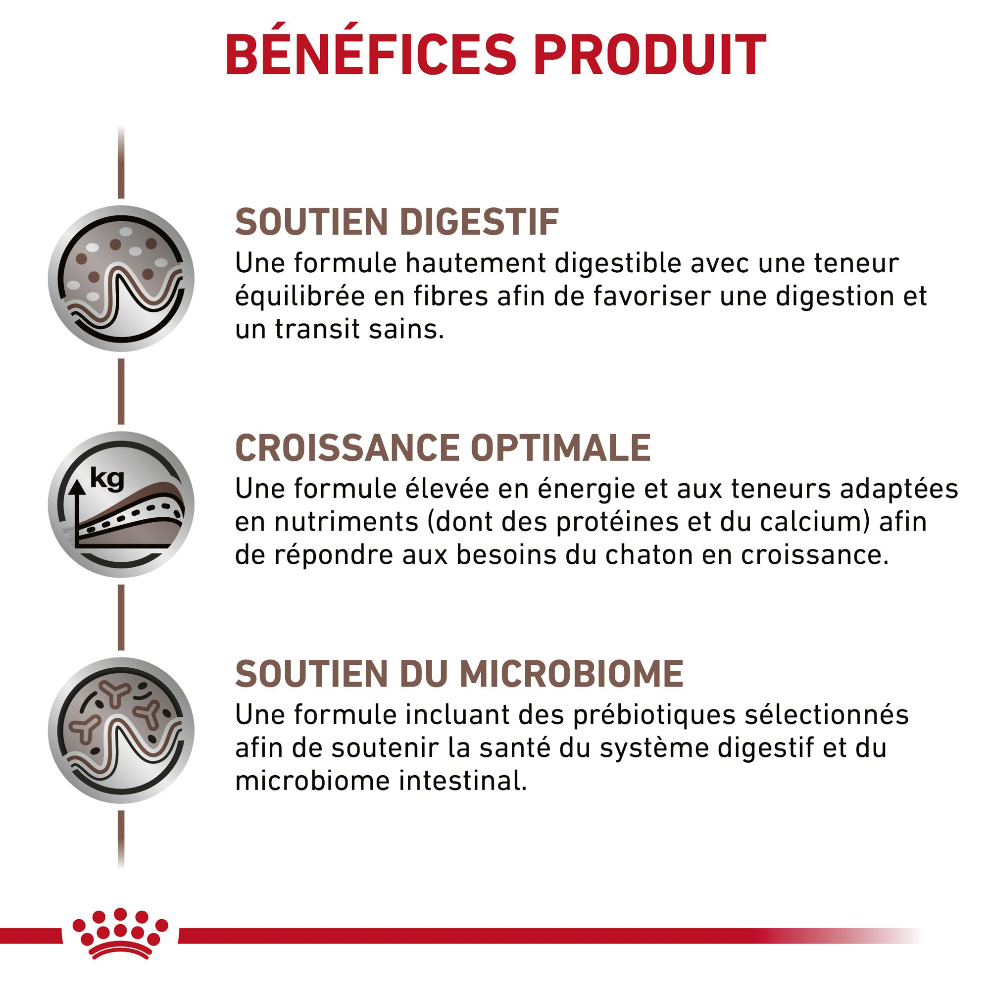 Royal Canin Gastrointestinal Kitten - Boîte