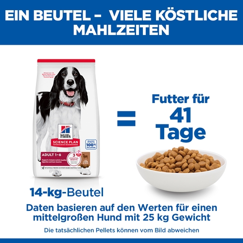 Hill's Science Plan Medium - Adult - Lamm & Reis