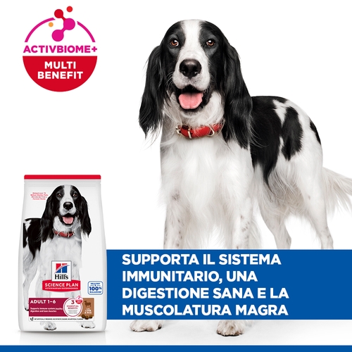 Hill's Science Plan Medium - Adult - Agnello e Riso