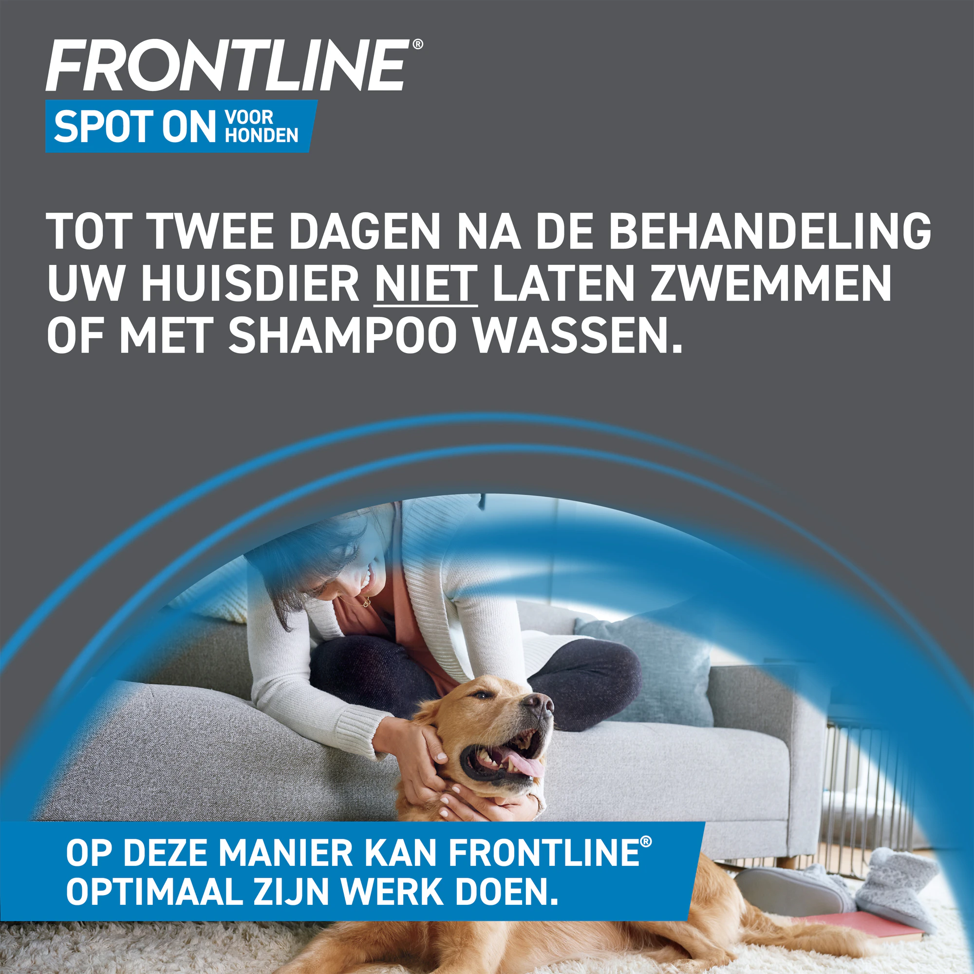 Frontline Spot On Hond