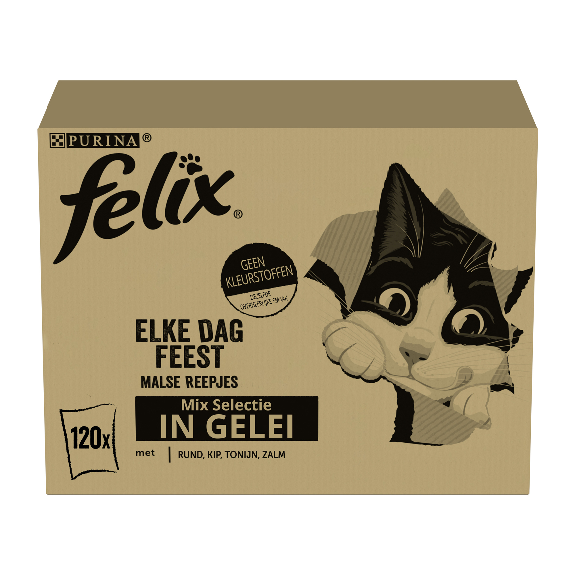 Felix Elke Dag Feest in Gelei