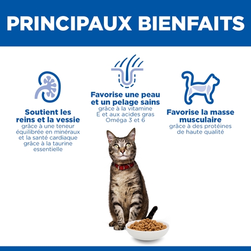 Hill's Science Plan Adult - Agneau