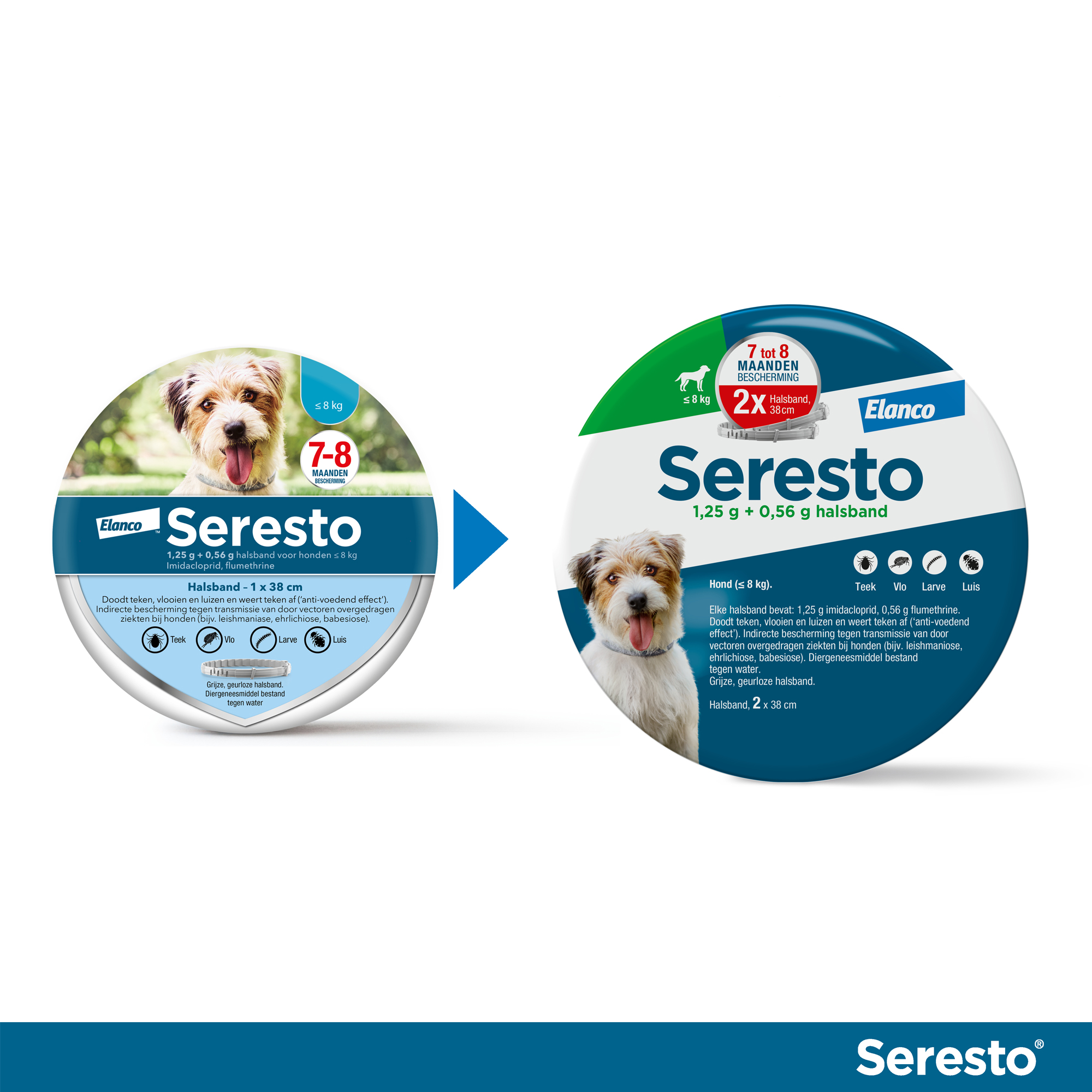 Seresto Collier Antiparasitaire pour Chien