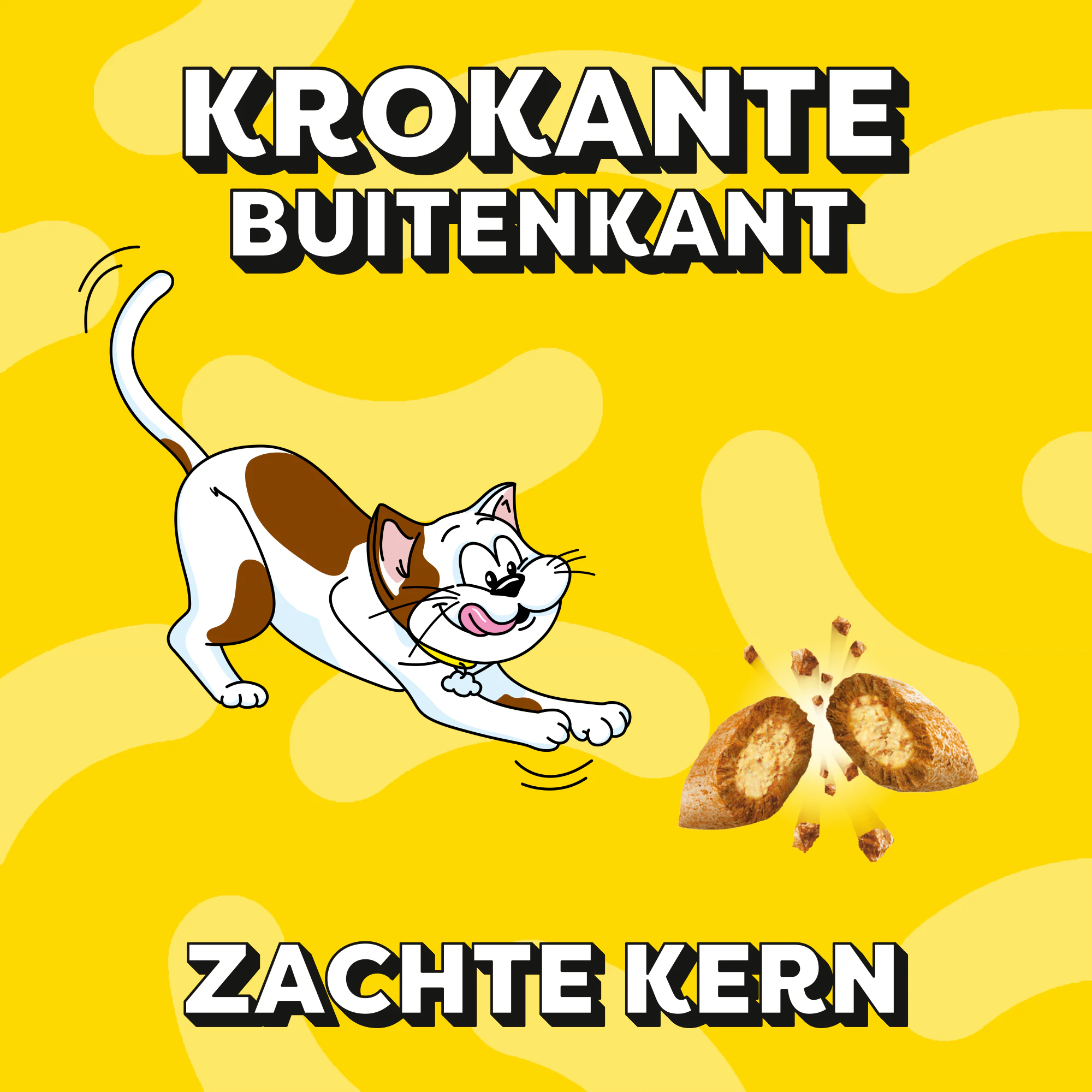 Catisfactions Kattensnoepjes