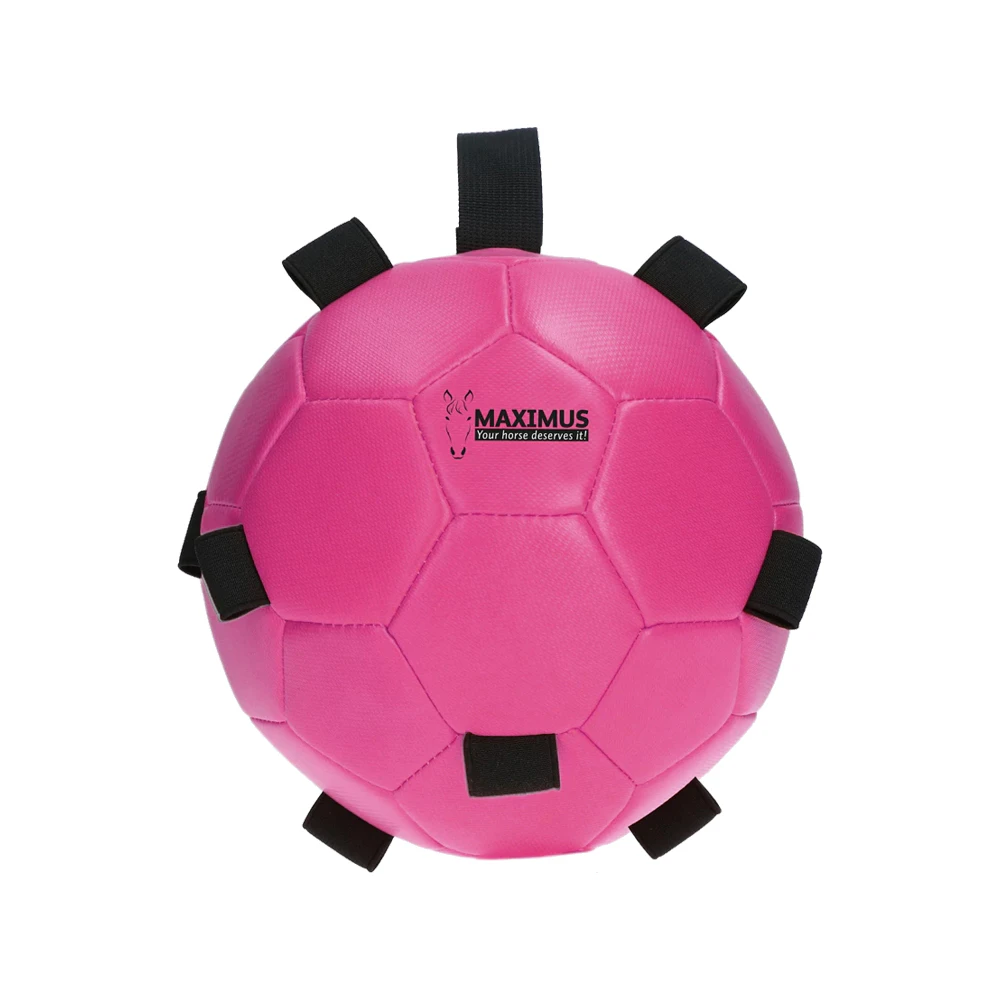 Excellent Horse Fun Play Ball