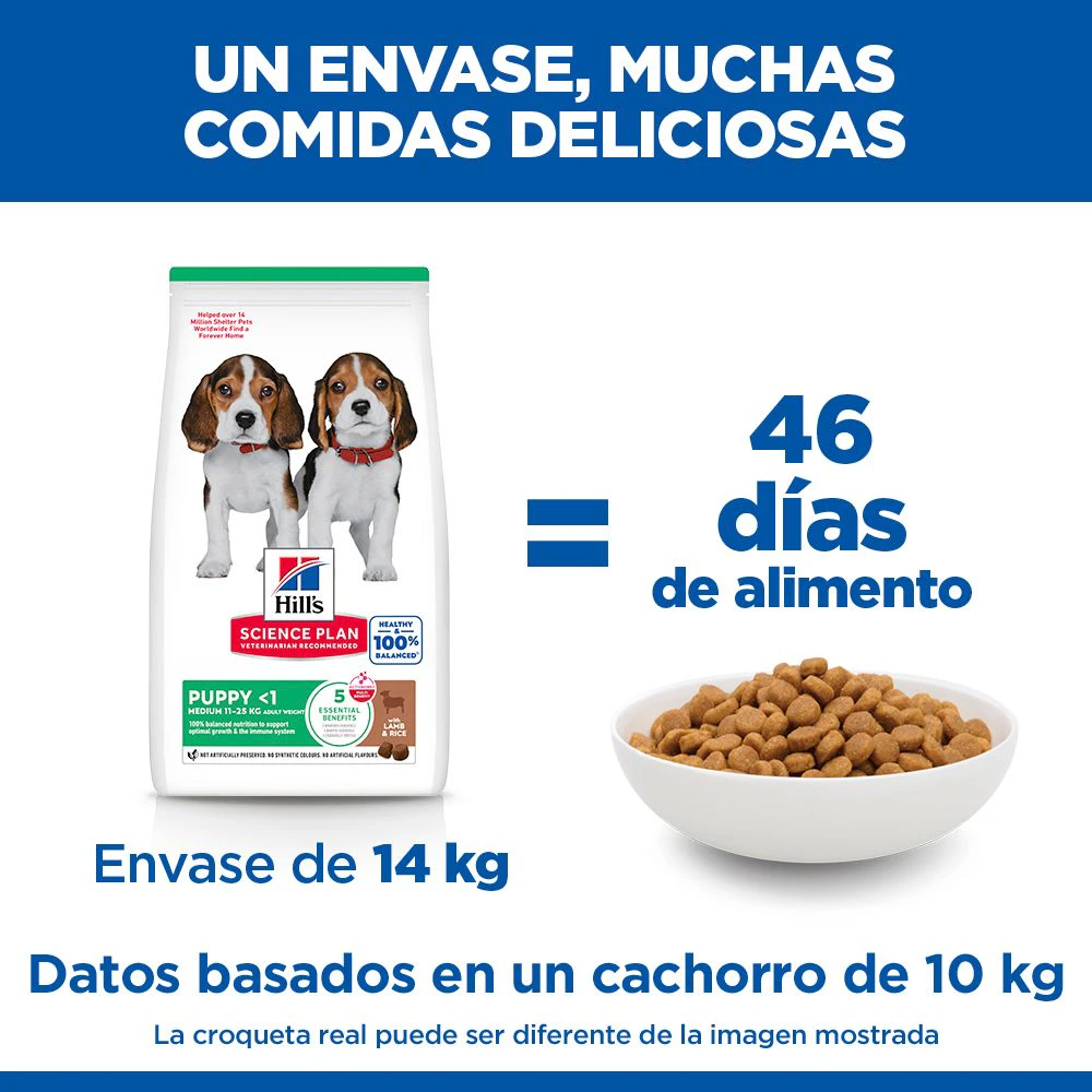 Hill's Science Plan - Puppy - Medium - Cordero y Arroz