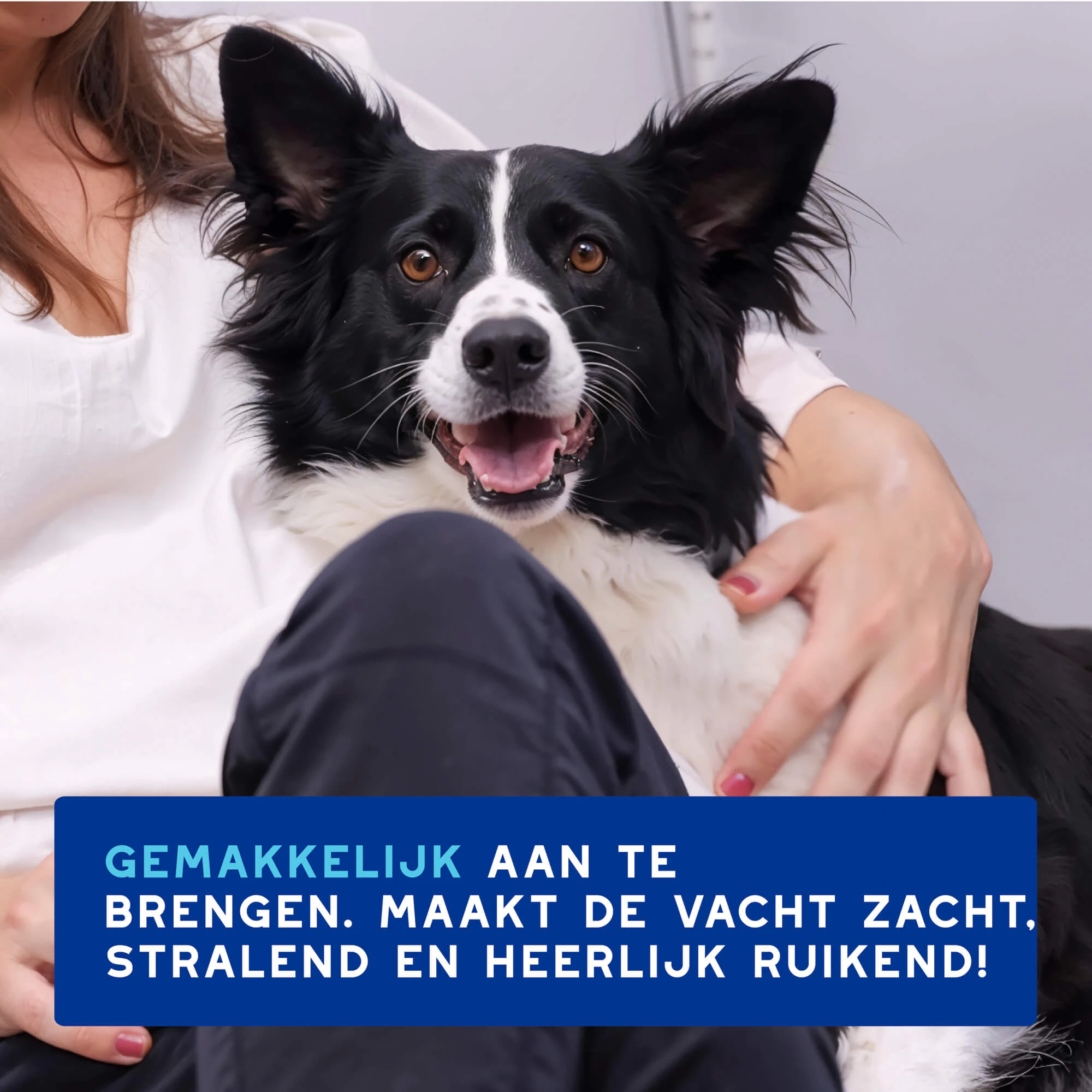 Douxo Spa Dog Mousse