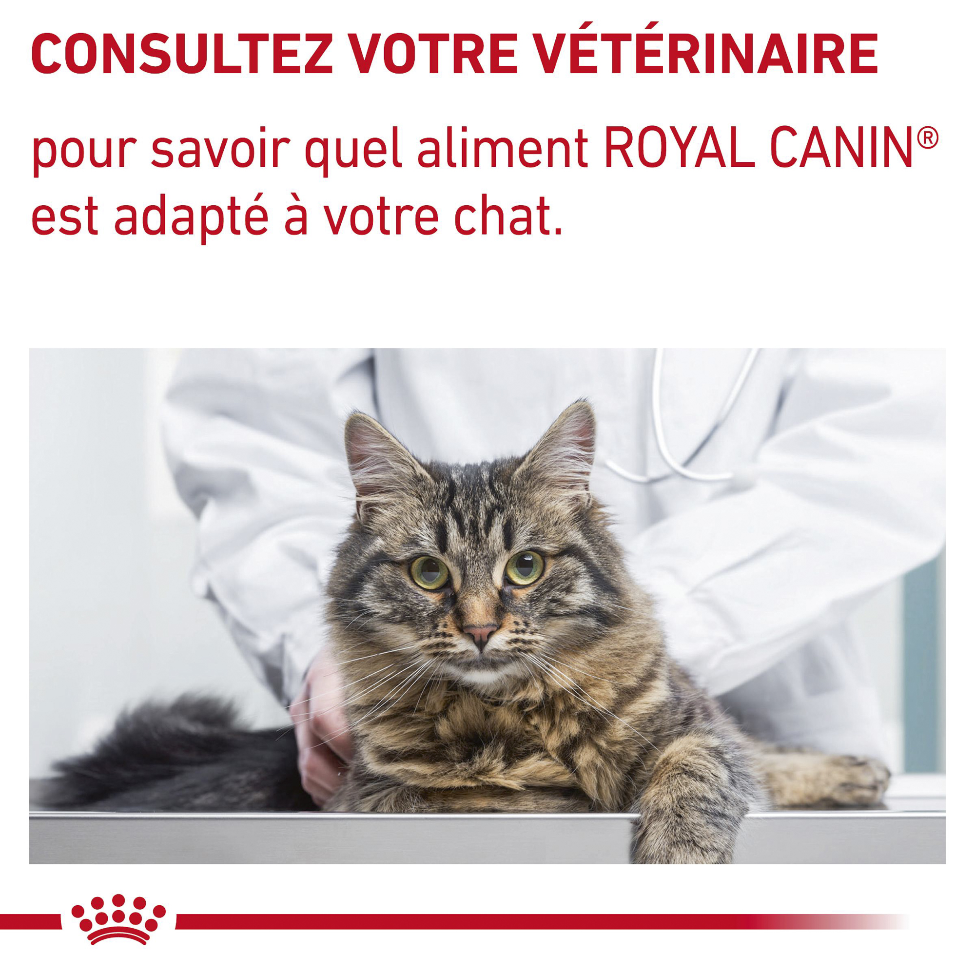 Royal Canin VCN - Neutered Weight Balance - Sachet