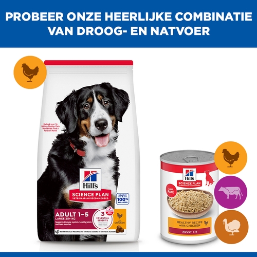 Hill's Science Plan - Large Breed - Adult - Kip