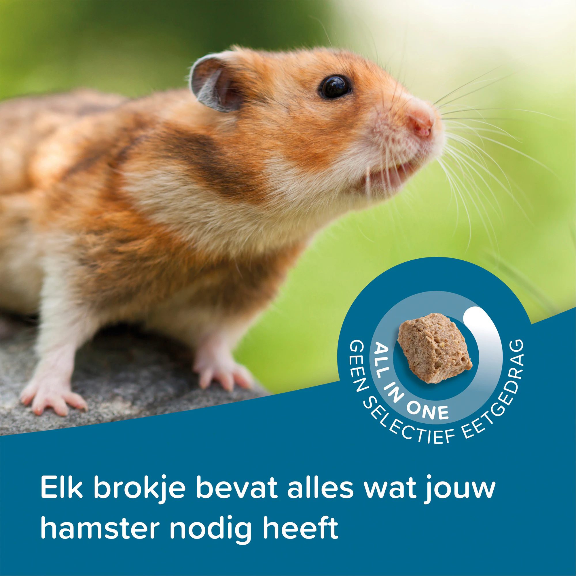 Beaphar Care+ Hamster