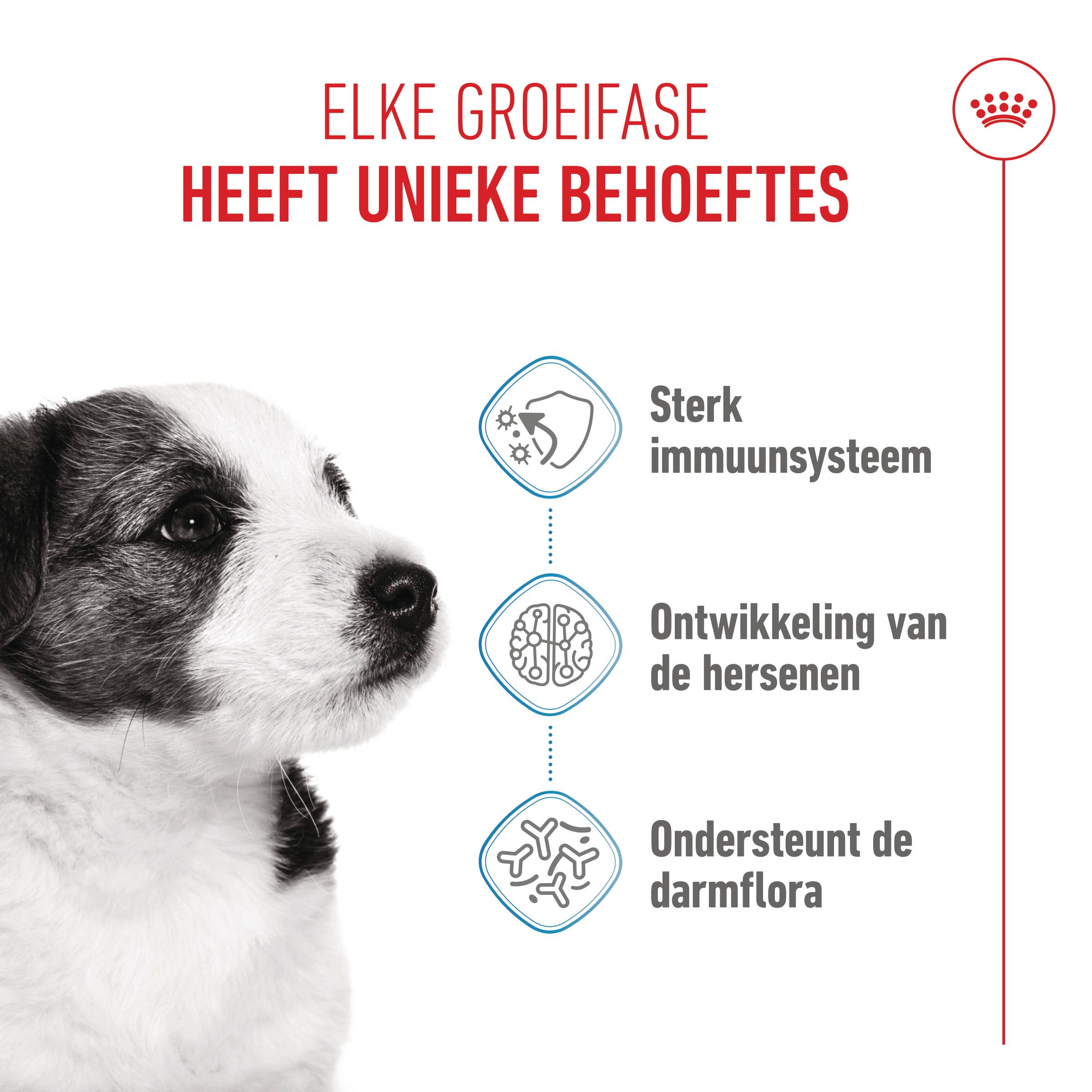 Royal Canin Mini Puppy - Hondenvoer