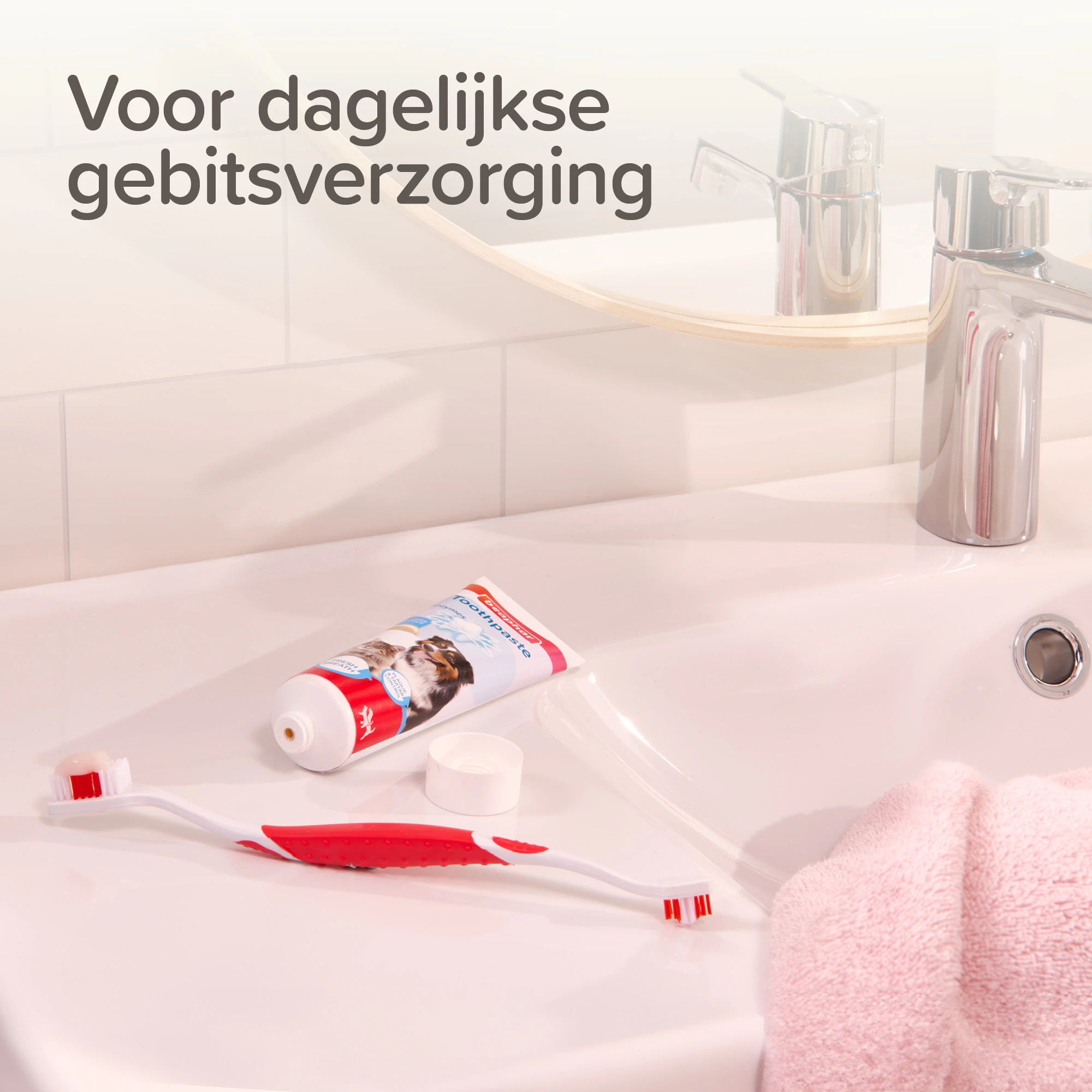 Beaphar Combi-pack Tandpasta + Tandenborstel