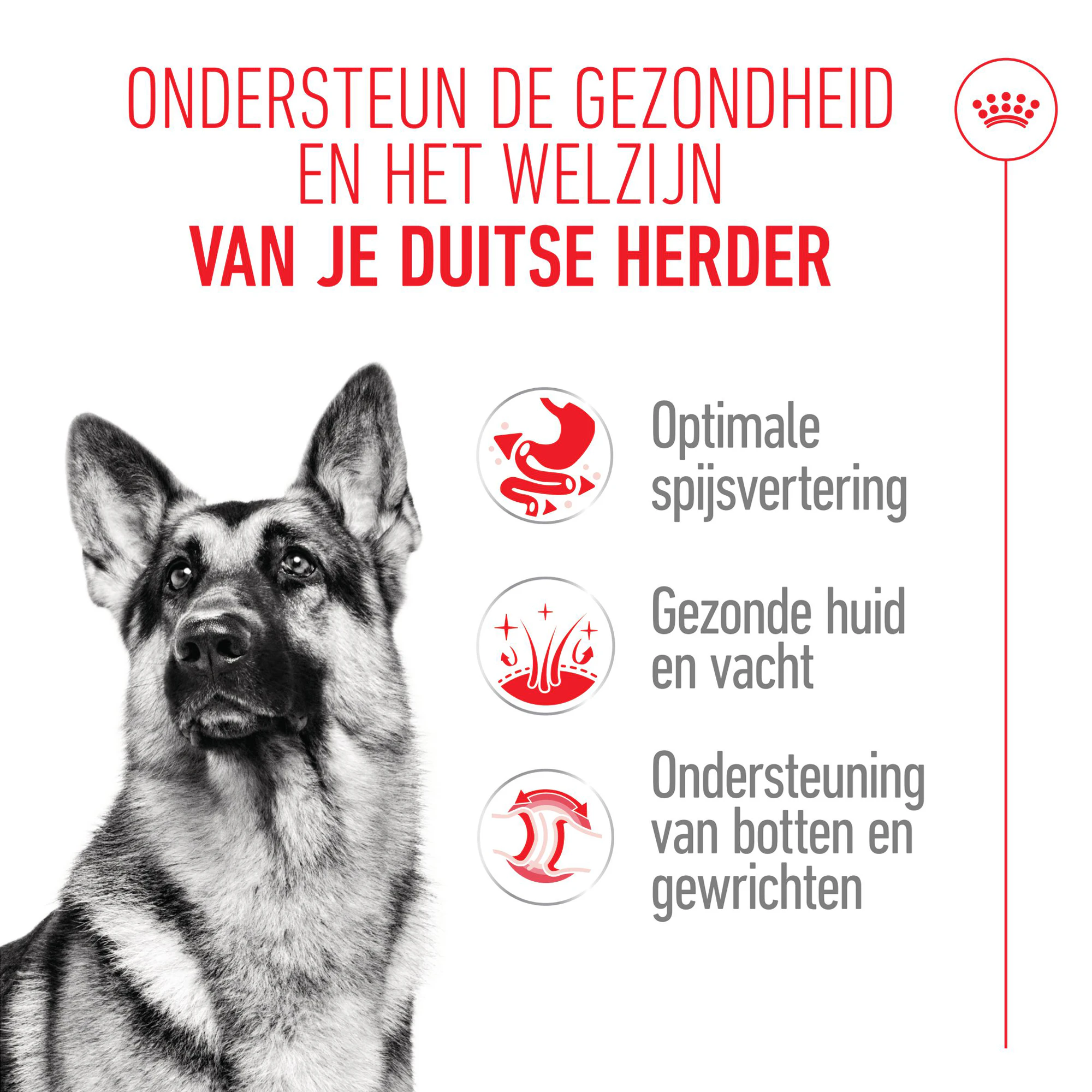 Royal Canin German Shepherd Adult - Hondenvoer