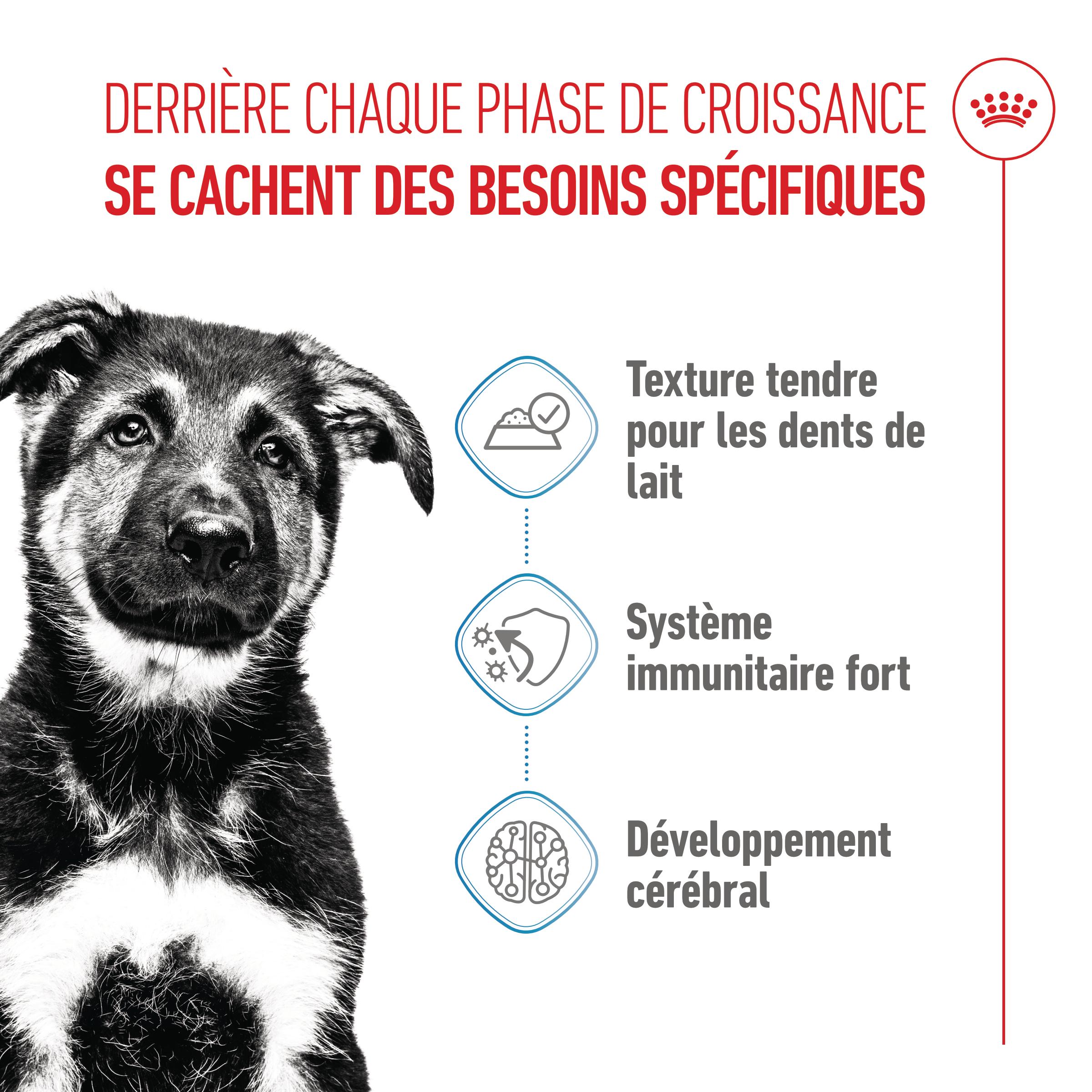 Royal Canin Maxi Puppy - Sachet