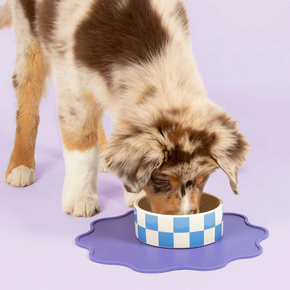 Coockoo Feeding Bowl Checkmate!