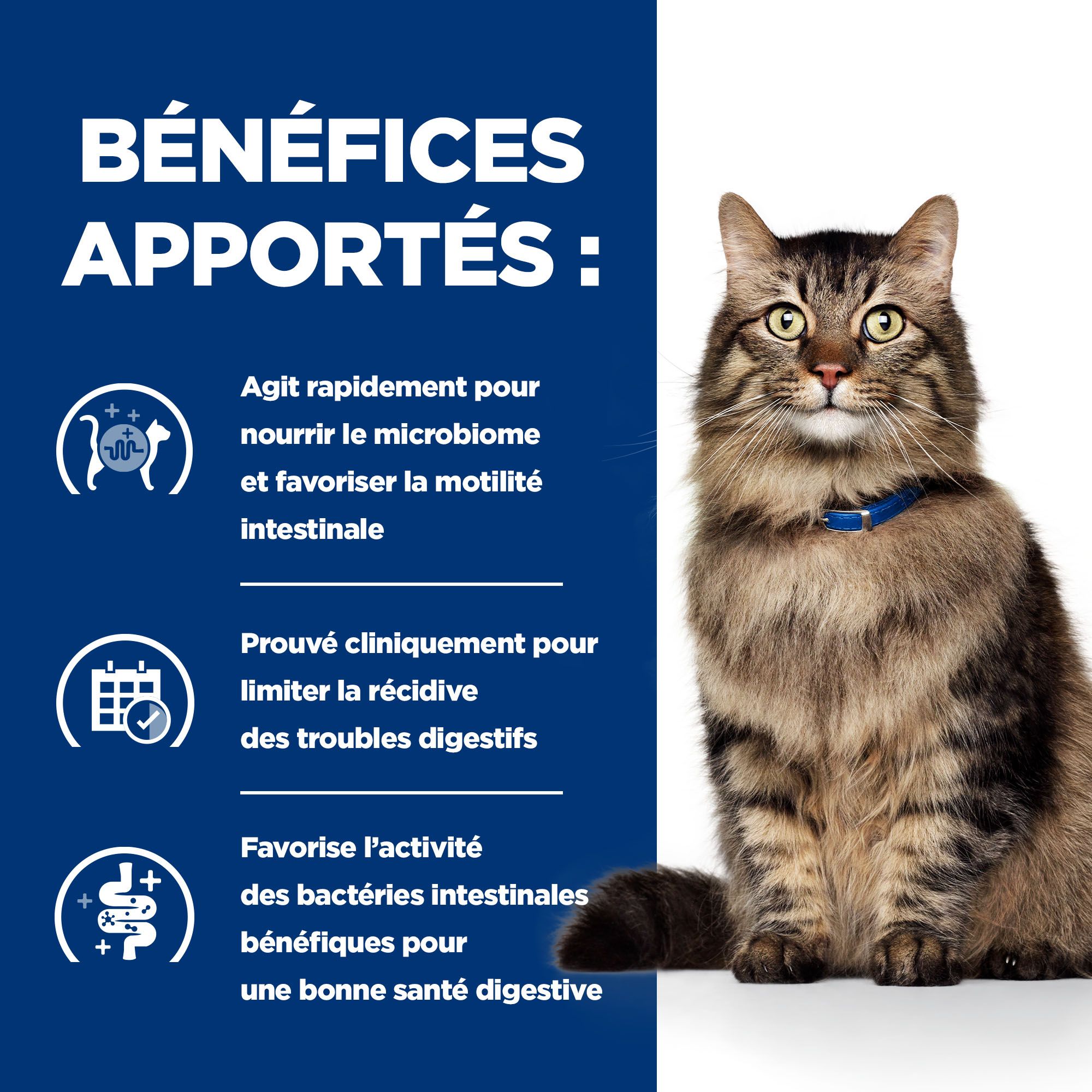 Hill's Prescription Diet - Gastrointestinal Biome - Aliment pour Chat - Mijoté