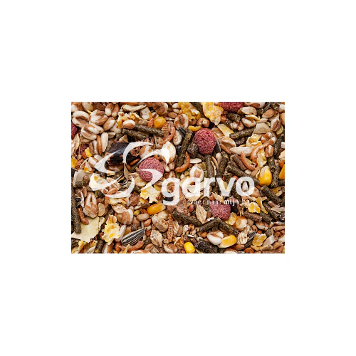 Garvo Hamster and Rat