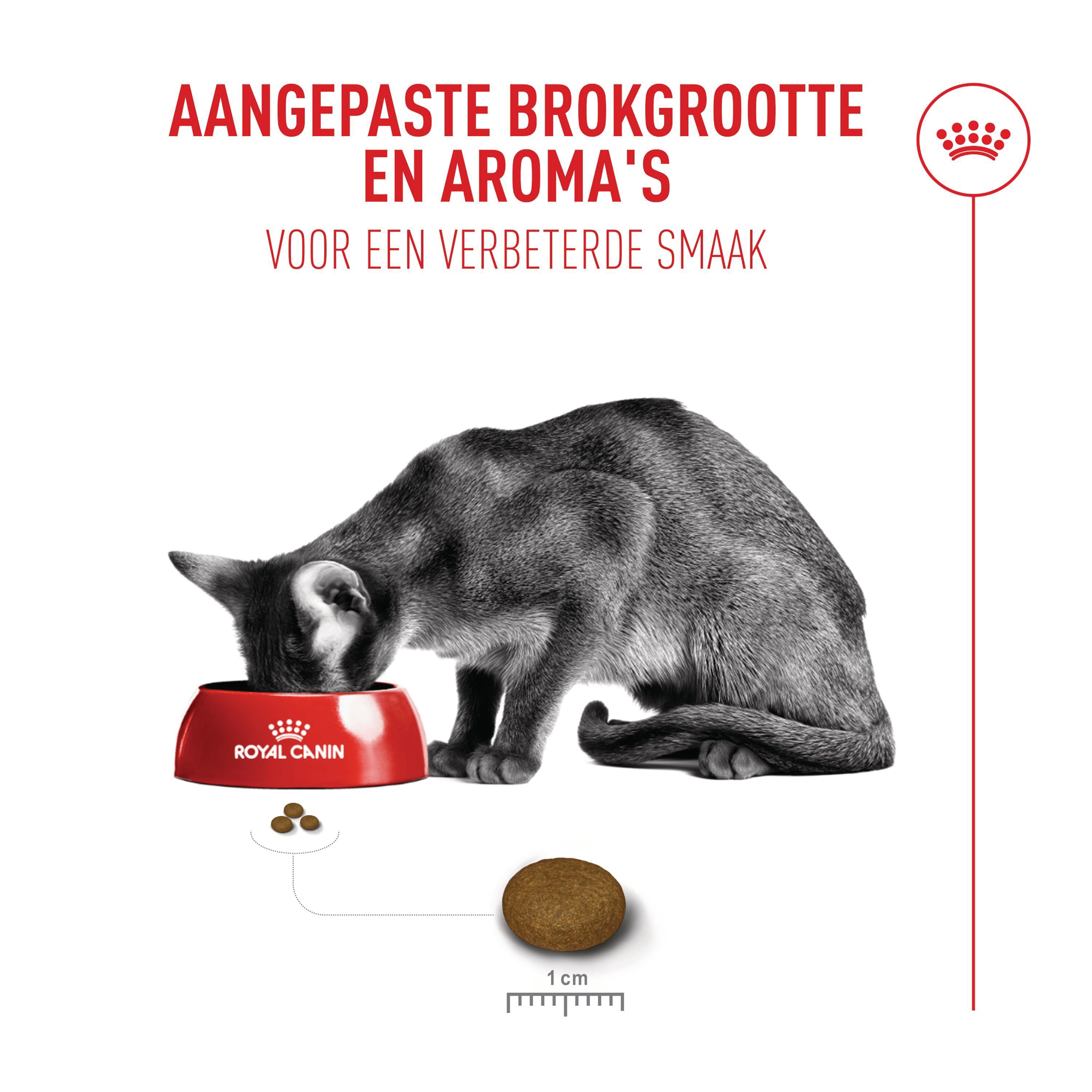 Royal Canin Fussy Exigent - Kattenvoer