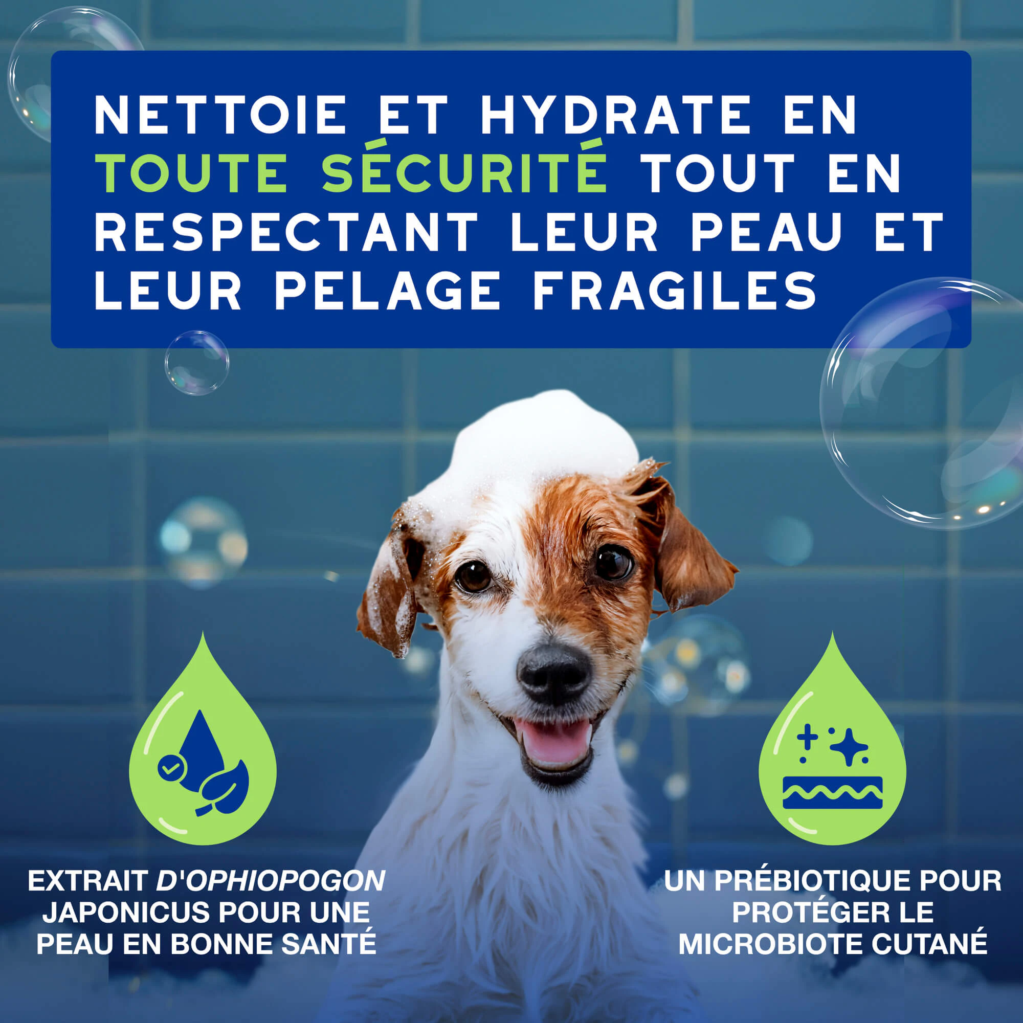 Douxo Shampoo Spa pour Chiot
