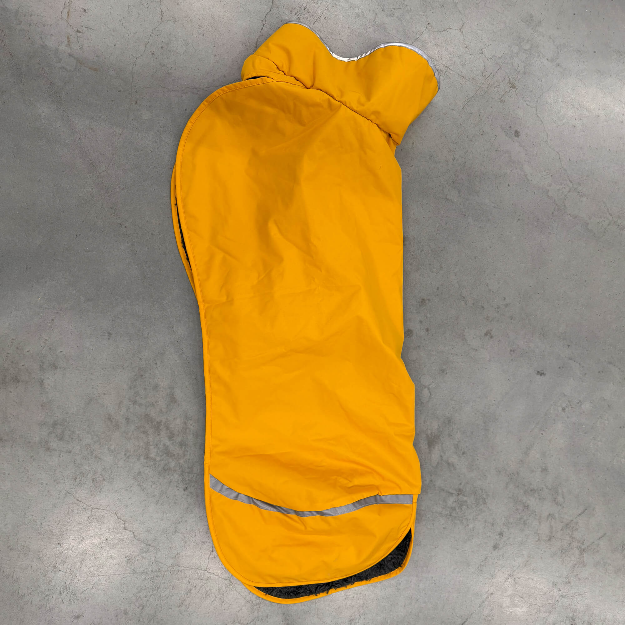 Pomppa Perus Hondenjas (Tweede kans)