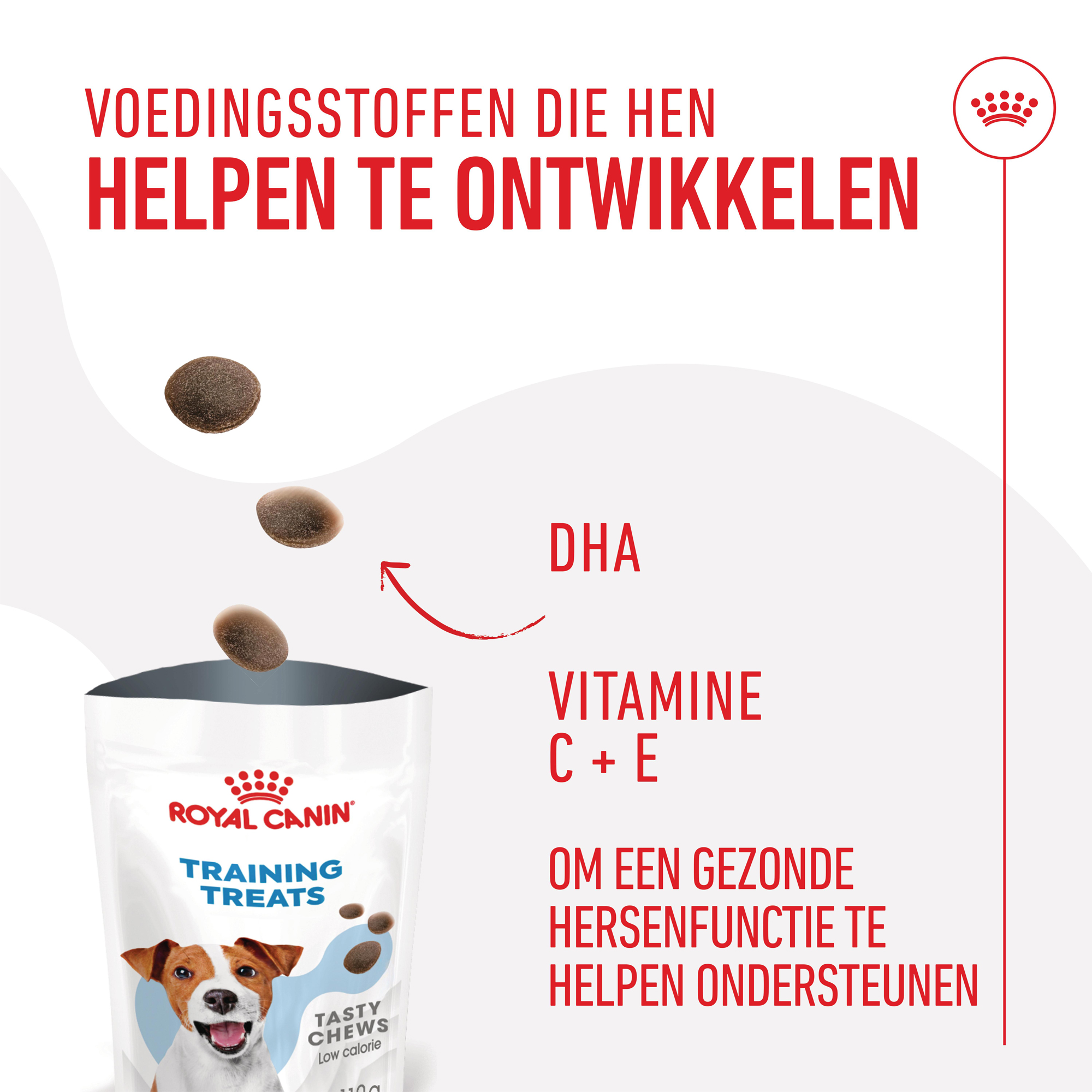 Royal Canin Training Treats
