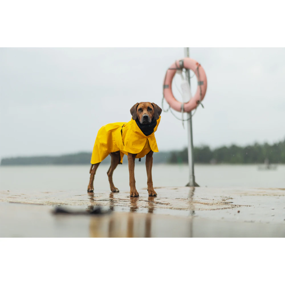 PAIKKA Visibility Raincoat