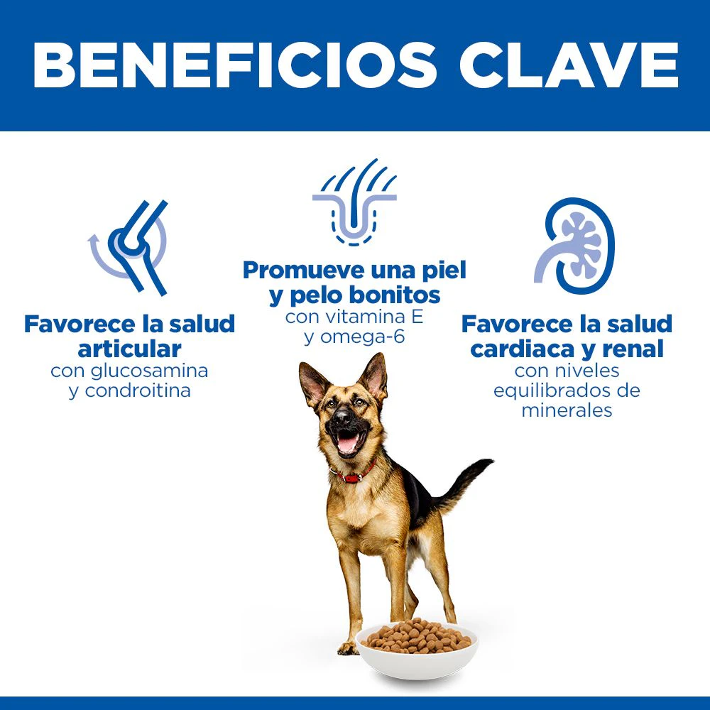 Hill's Science Plan - Large Breed - Mature Adult 6+ - Pollo