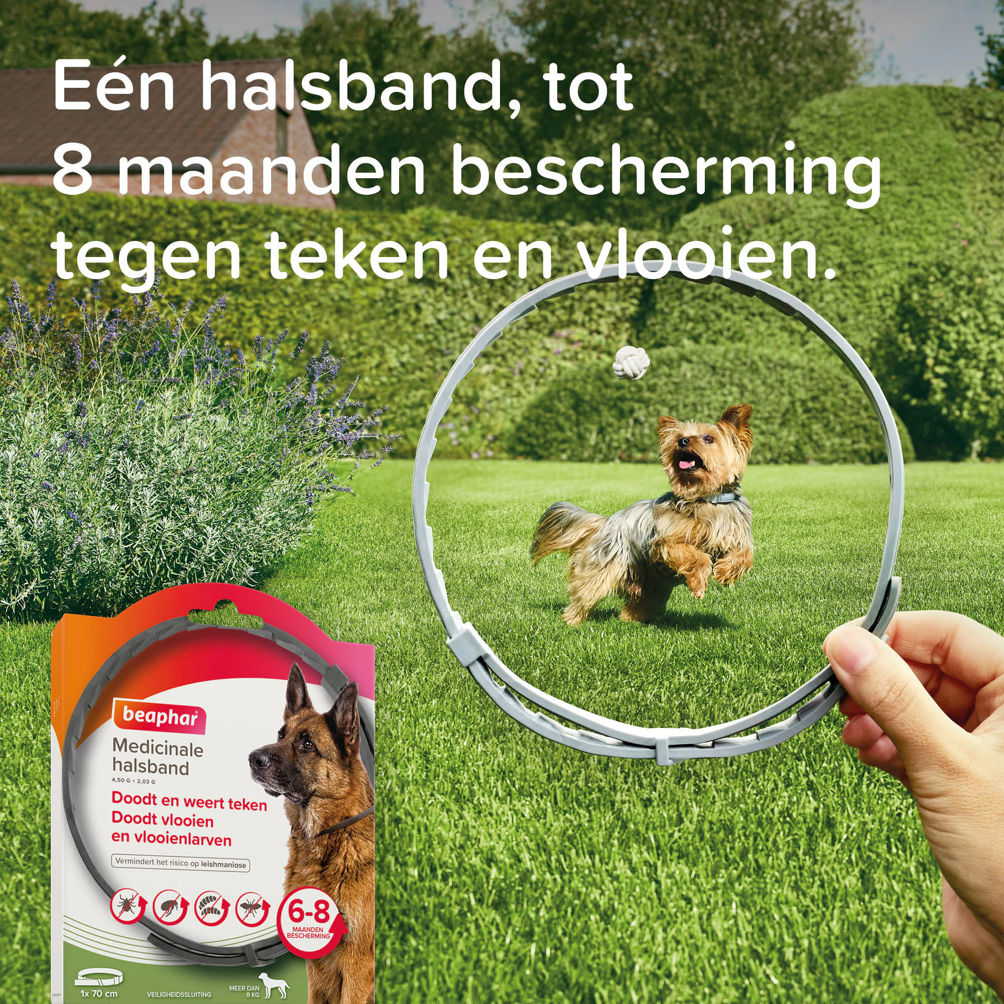 Beaphar Medicinale Halsband Hond