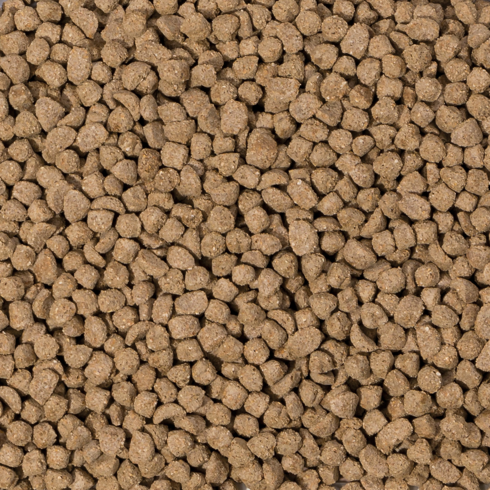 Beaphar Care+ Kaninchen Junior