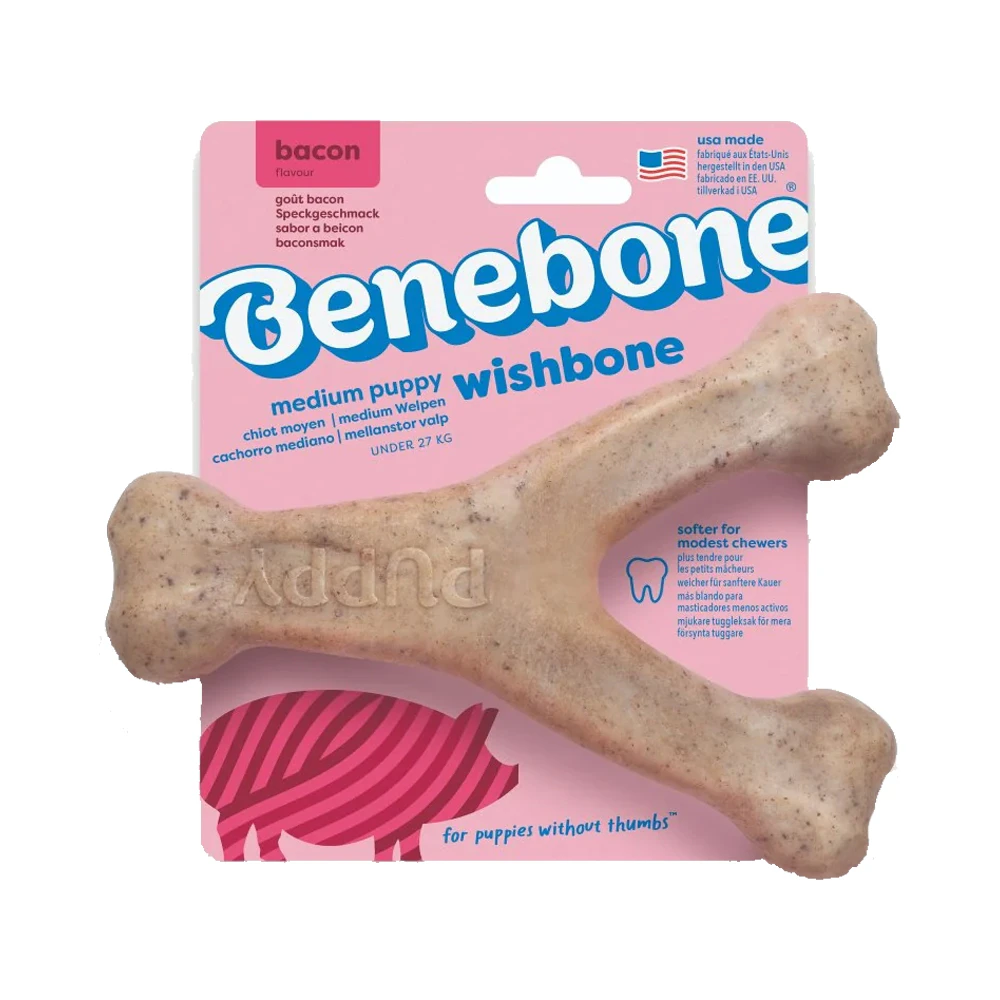 Benebone Puppy Wishbone