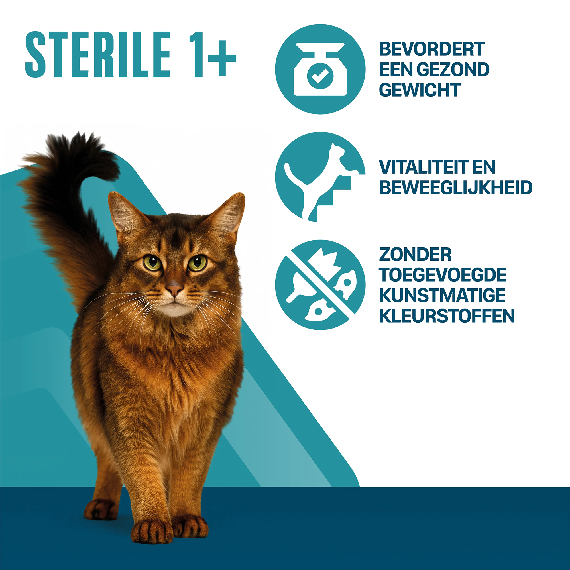Perfect Fit Sterile 1+