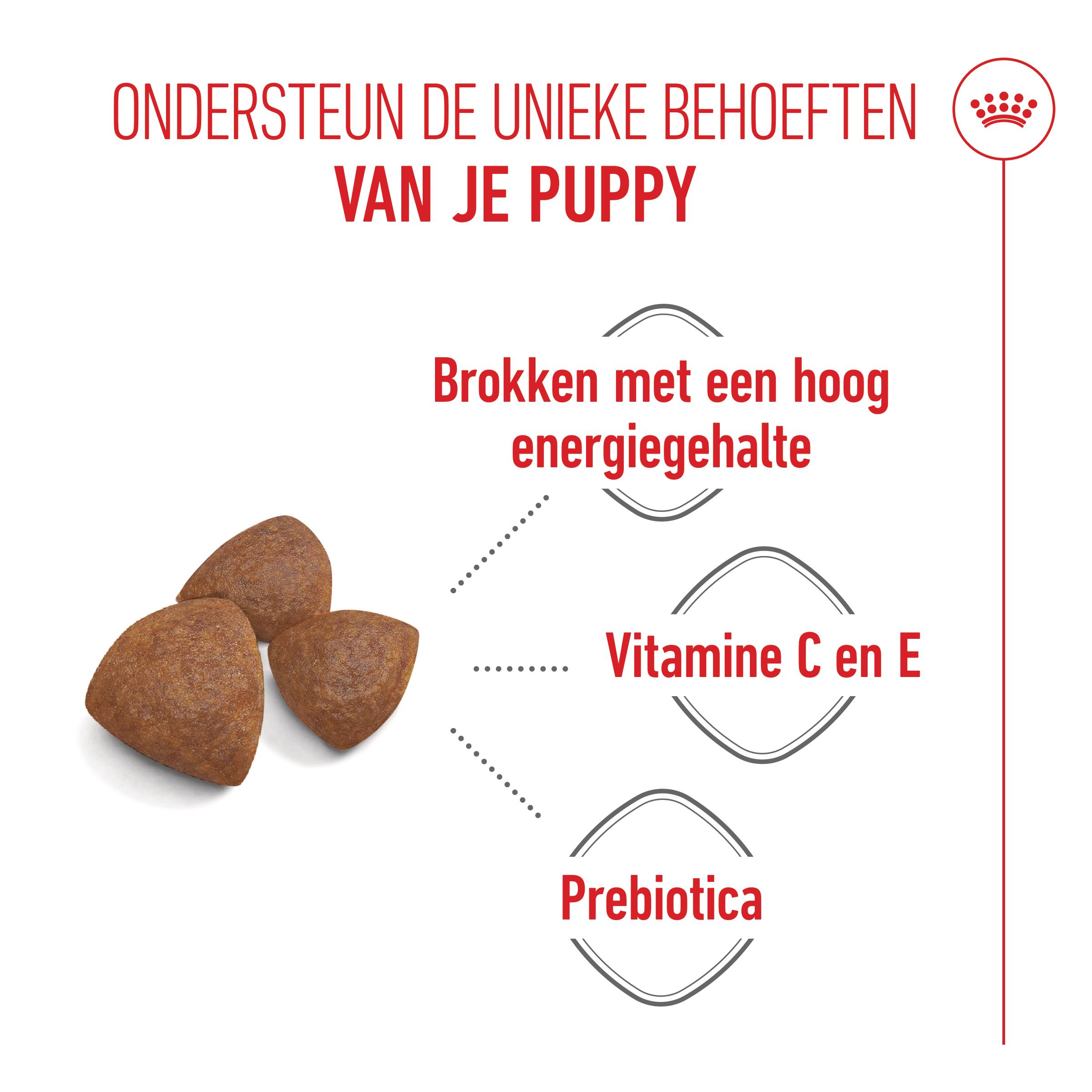Royal Canin Medium Starter Mother & Babydog - Hondenvoer