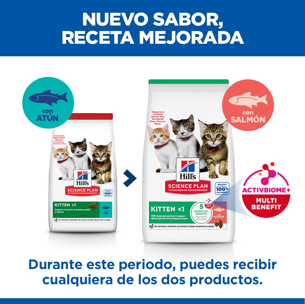 Hill's Science Plan - Gatito - Salmón