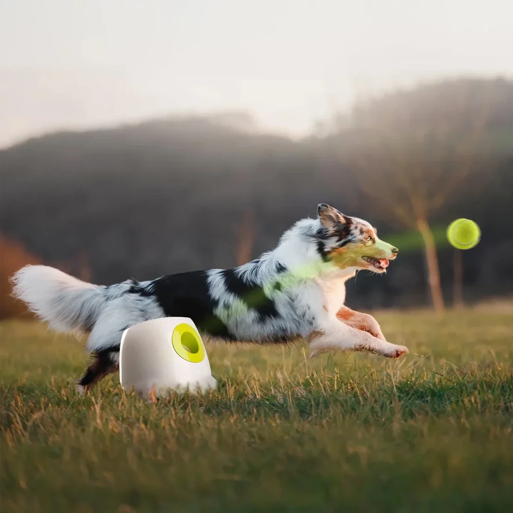 AFP Interactive Automatic Ball Launcher Maxi