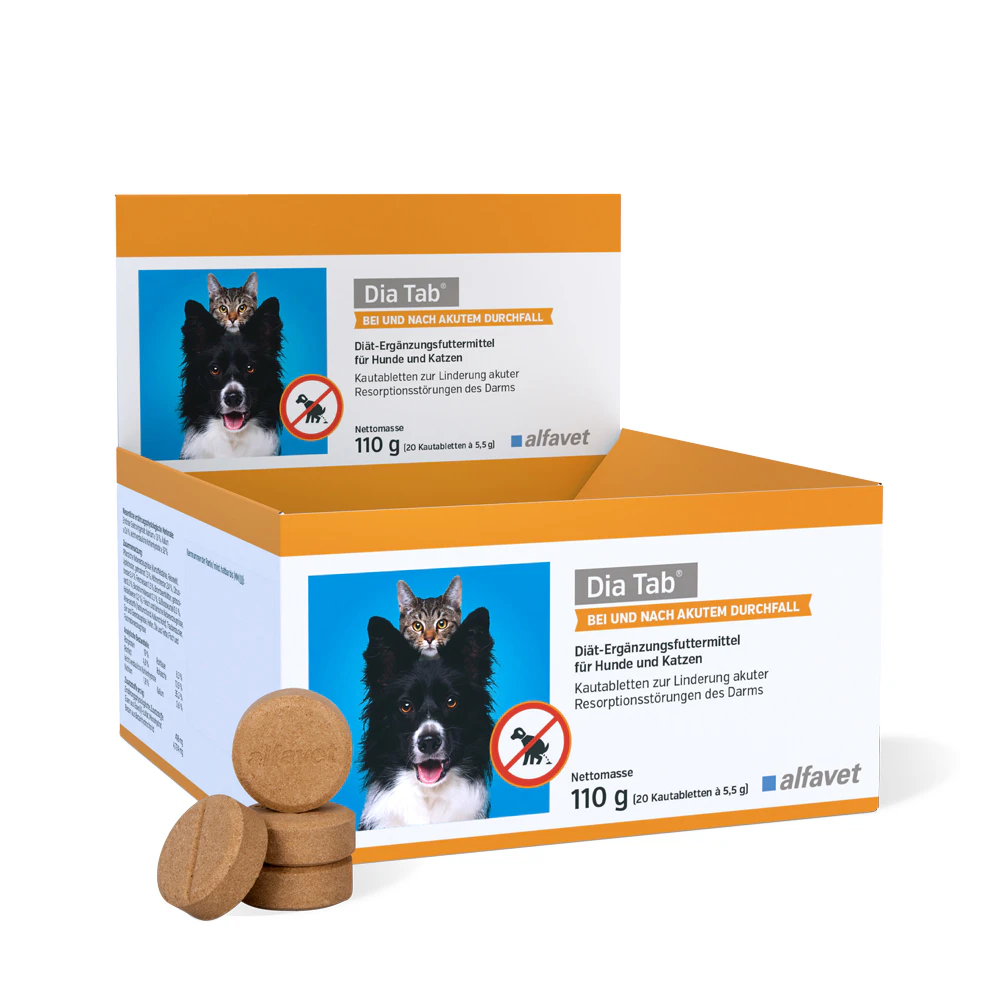 DIA TAB Reisapotheek Kauwtabletten