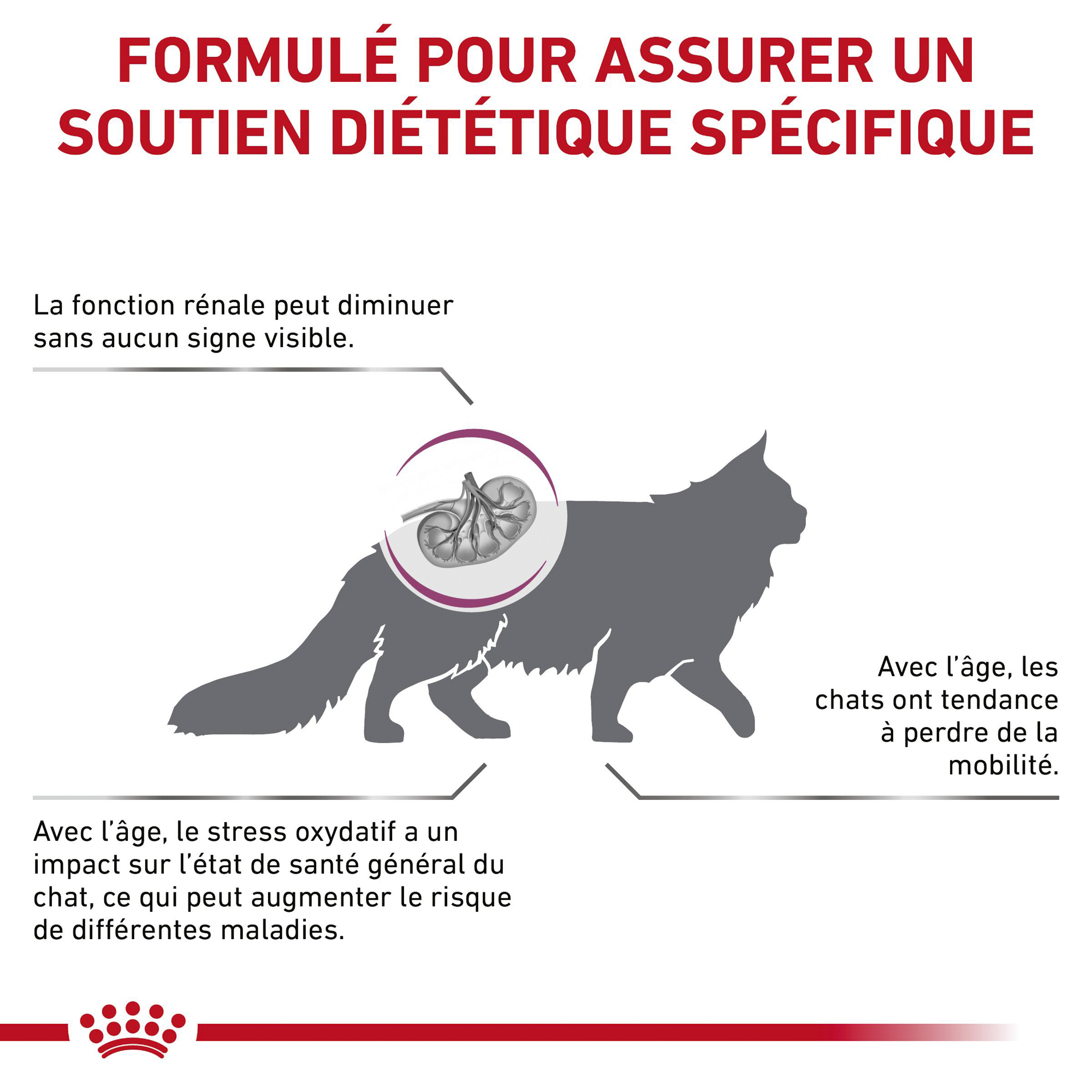 Royal Canin Early Renal - Chat